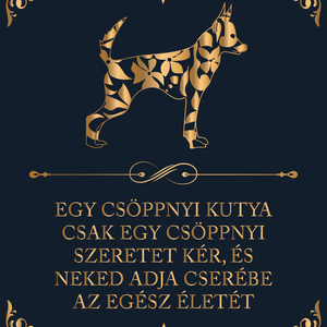 Csöppnyi kutya - kutyás vászonkép idézettel, Otthon & Életmód, Dekoráció, Kép & Falikép, Vászonkép, Fotó, grafika, rajz, illusztráció, MESKA