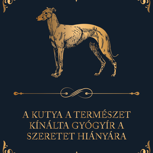 Kutya gyógyír - kutyás vászonkép idézettel, Otthon & Életmód, Dekoráció, Kép & Falikép, Vászonkép, Fotó, grafika, rajz, illusztráció, MESKA