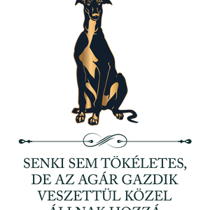 Tökéletes AGÁR GAZDIK - póló - ruha & divat - női ruha - póló, felső - Meska.hu