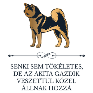 Tökéletes AKITA GAZDIK - póló - ruha & divat - női ruha - póló, felső - Meska.hu
