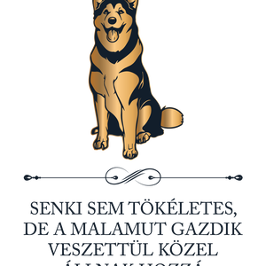 Tökéletes MALAMUT GAZDIK - póló - ruha & divat - női ruha - póló, felső - Meska.hu