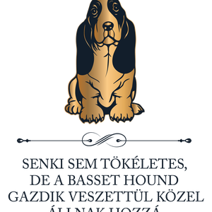 Tökéletes BASSET HOUND GAZDIK - póló - ruha & divat - női ruha - póló, felső - Meska.hu