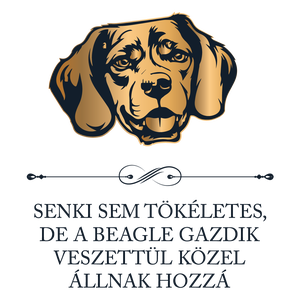 Tökéletes BEAGLE GAZDIK - póló - ruha & divat - női ruha - póló, felső - Meska.hu
