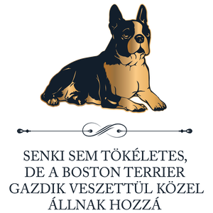 Tökéletes BOSTON TERRIER GAZDIK - póló - ruha & divat - női ruha - póló, felső - Meska.hu