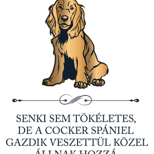Tökéletes COCKER SPÁNIEL GAZDIK - póló - ruha & divat - női ruha - póló, felső - Meska.hu