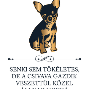Tökéletes CSIVAVA GAZDIK - póló - ruha & divat - női ruha - póló, felső - Meska.hu