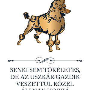 Tökéletes USZKÁR GAZDIK - póló - ruha & divat - női ruha - póló, felső - Meska.hu