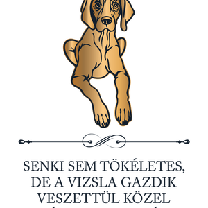 Tökéletes VIZSLA GAZDIK - póló - ruha & divat - női ruha - póló, felső - Meska.hu