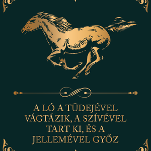 A ló jelleme - lovas vászonkép idézettel, Otthon & Életmód, Dekoráció, Kép & Falikép, Vászonkép, Fotó, grafika, rajz, illusztráció, MESKA