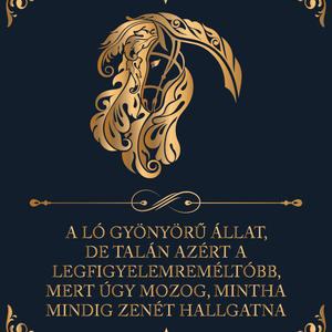 A ló gyönyörű állat... - lovas vászonkép idézettel, Otthon & Életmód, Dekoráció, Kép & Falikép, Vászonkép, Fotó, grafika, rajz, illusztráció, MESKA