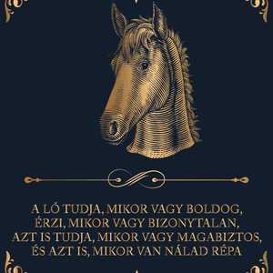 A ló tudja, mikor vagy boldog... - lovas vászonkép idézettel, Otthon & Életmód, Dekoráció, Kép & Falikép, Vászonkép, Fotó, grafika, rajz, illusztráció, MESKA