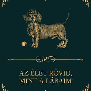 TACSKÓS vászonkép: Az élet rövid, mint a lábaim, Otthon & Életmód, Dekoráció, Kép & Falikép, Poszter, Fotó, grafika, rajz, illusztráció, MESKA