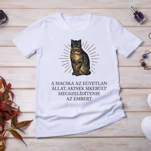 Macskaszelídítés... - macskás póló idézettel, Ruha & Divat, Női ruha, Póló, felső, Fotó, grafika, rajz, illusztráció, MESKA
