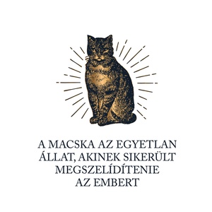Macskaszelídítés... - macskás póló idézettel - ruha & divat - női ruha - póló, felső - Meska.hu