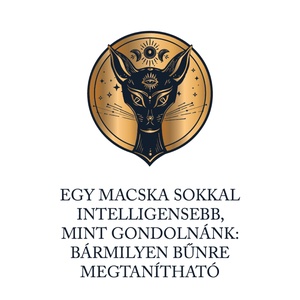 Macskaintelligencia... - macskás póló idézettel - ruha & divat - női ruha - póló, felső - Meska.hu