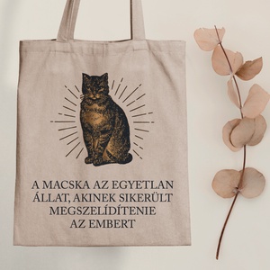 Macskaszelídítés - vászontáska - Farkas Benjamin, Táska & Tok, Bevásárlás & Shopper táska, Shopper, textiltáska, szatyor, Fotó, grafika, rajz, illusztráció, Mindenmás, MESKA
