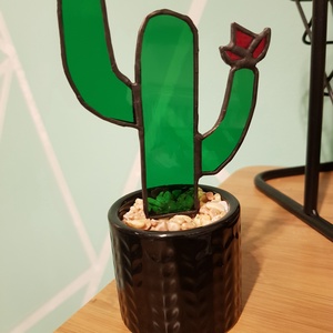 Tiffany kaktusz - cserépben - Meska.hu