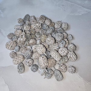Casuarina - havas szürke 5 dkg, Kellékek & szerszámok, Dekorációs kellékek, Termések, terméscsomagok, , MESKA