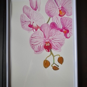 Orchidea akvarell festmény, Művészet, Festmény, Akvarell, Festészet, MESKA