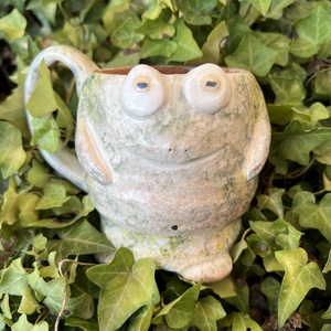 Vidám béka bögre  tökéletes ajándék, 400 ml - Meska.hu