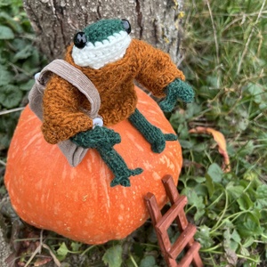 Kézzel kötött kis béka  13 cm, gyapjú pulóverben és bársony alsóban, Otthon & Életmód, Dekoráció, Dísztárgy, Horgolás, MESKA