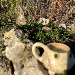 Vidám kicsi béka bögre  tökéletes espressohoz, kb. 150 ml - otthon & életmód - konyhafelszerelés, tálalás - tálalás - bögre & csésze - Meska.hu