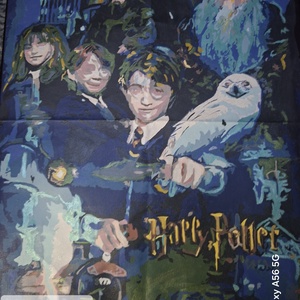 Harry Potter vászon kép , Művészet, Festmény, Akril, Festészet, MESKA
