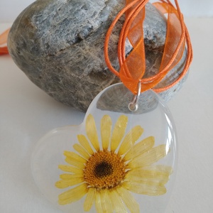 Virágos műgyanta nyaklánc szív medállal - margaréta virág - préselt növény gyantába foglalva- margarétás műgyanta ékszer - ékszer - nyaklánc - medálos nyaklánc - Meska.hu