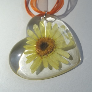 Virágos műgyanta nyaklánc szív medállal - margaréta virág - préselt növény gyantába foglalva- margarétás műgyanta ékszer - ékszer - nyaklánc - medálos nyaklánc - Meska.hu