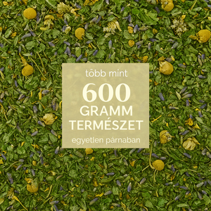 Fitobrand  MelegíthetőHűthető Gyógynövényes párna  (12 gyógynövénnyel, tönkölypelyvával) - szépségápolás - egészségmegőrzési kellékek - gyógynövénypárna - Meska.hu