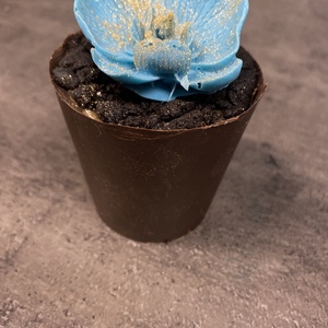 Cserepes orchidea csokoládéból, Élelmiszer, Édesség, Kézműves csokoládé, Élelmiszer előállítás, MESKA