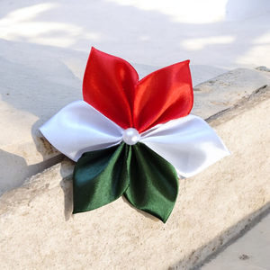 Nemzeti kitűző - kokárda mágneses rögzítéssel - Meska.hu