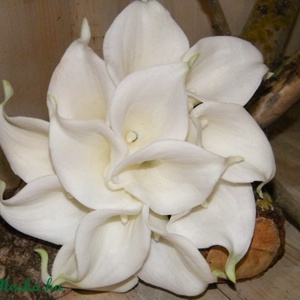 Kálás jogarcsokor -  - Meska.hu