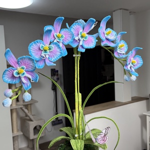 ? Asztali dísz orchidea, Otthon & Életmód, Virágdekoráció, Virágdíszek, Asztali virágdísz, Mindenmás, MESKA
