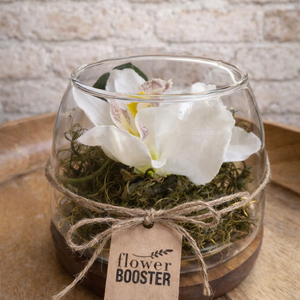 Orchidea üvegtálban fa talpon Nőnapra, Otthon & Életmód, Dekoráció, Asztal és polc dekoráció, Asztaldísz, Virágkötés, MESKA