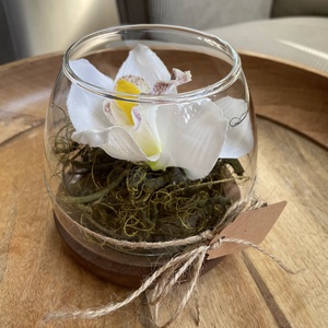 Orchidea üvegtálban fa talpon Nőnapra - otthon & életmód - dekoráció - asztal és polc dekoráció - asztaldísz - Meska.hu