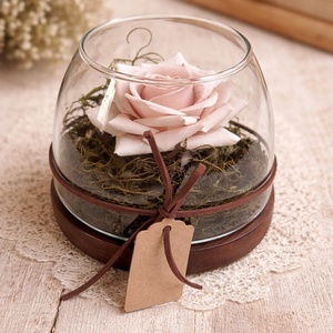 Bézs rózsa üvegtálban fa talpon Anyák napjára, Otthon & Életmód, Dekoráció, Asztal és polc dekoráció, Asztaldísz, Virágkötés, Lepd meg Anyukádat egy igazán különleges és időtálló ajándékkal Anyák napja alkalmából! Ez a magas ..., MESKA