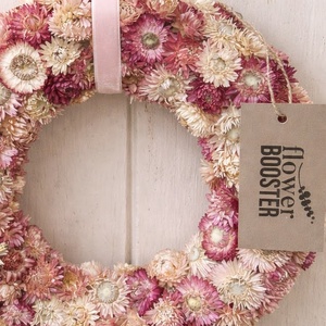 Szárított szalmarózsa koszorú ajtódísznek, vagy asztaldísznek - otthon & életmód - dekoráció - ajtó- és ablak dekoráció - ajtódísz & kopogtató - Meska.hu