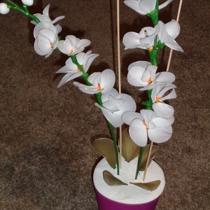 Orchidea fehér - Meska.hu