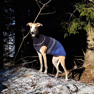 kötött kutyapulóver, Otthon & Életmód, Kisállatoknak, Kutyáknak, Kutya ruházat, Kötés, MESKA