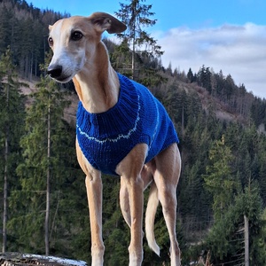 kötött kék kutyapulcsi - Meska.hu