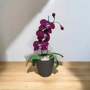 Horgolt orchidea, Otthon & Életmód, Dekoráció, Virágdísz és tartó, Virágbox, virágdoboz, Horgolás, MESKA