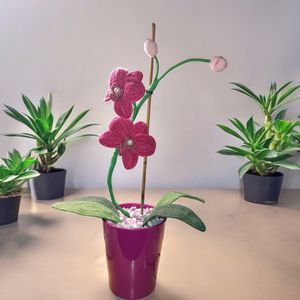 Horgolt orchidea - otthon & életmód - dekoráció - virágdísz és tartó - virágbox, virágdoboz - Meska.hu