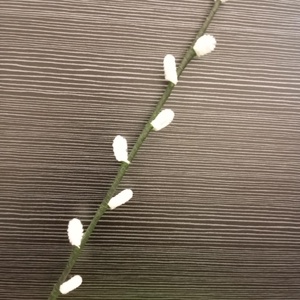 Tavaszi barka ág, Ünnepi díszek, dekorációk, Húsvéti díszek és dekorációk, Húsvéti tojásfadíszek, Virágkötés, MESKA