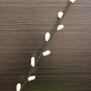 Tavaszi barka ág - ünnepi díszek, dekorációk - húsvéti díszek és dekorációk - húsvéti tojásfadíszek - Meska.hu