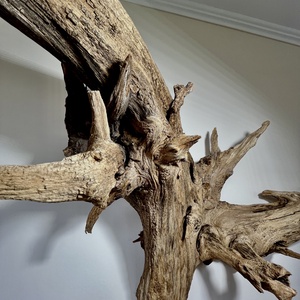 WallRootDeco I (100 x 70 cm, 11 kg) - otthon & életmód - dekoráció - fali és függő dekoráció - falra akasztható dekor - Meska.hu