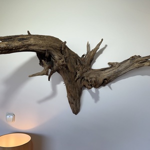 WallRootDeco I (100 x 70 cm, 11 kg) - otthon & életmód - dekoráció - fali és függő dekoráció - falra akasztható dekor - Meska.hu