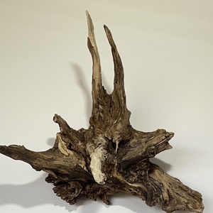 WallRootDeco II (60 x 60 cm, 6 kg), Otthon & Életmód, Dekoráció, Fali és függő dekoráció, Falra akasztható dekor, Famegmunkálás, MESKA