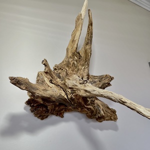 WallRootDeco II (60 x 60 cm, 6 kg) - otthon & életmód - dekoráció - fali és függő dekoráció - falra akasztható dekor - Meska.hu