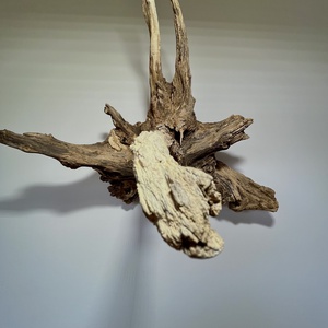 WallRootDeco II (60 x 60 cm, 6 kg) - otthon & életmód - dekoráció - fali és függő dekoráció - falra akasztható dekor - Meska.hu